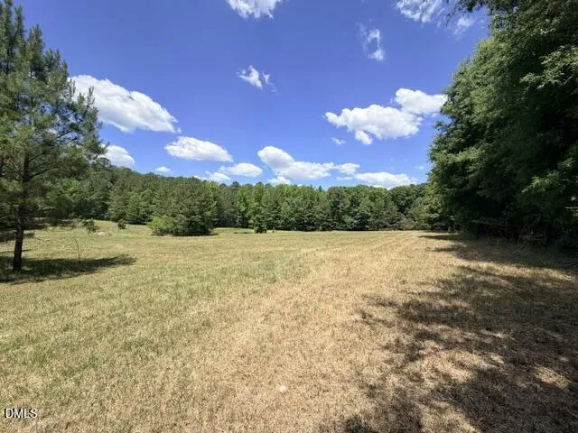 2520 Canter Drive Hillsborough, NC 27278