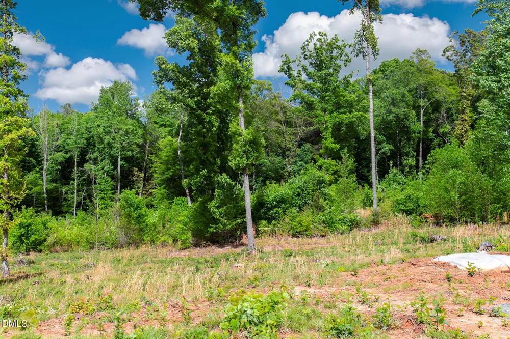 10 Conner Ridge Road Efland, NC 27243