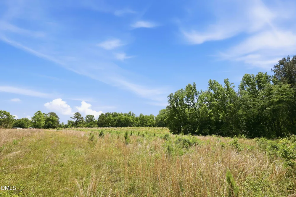 0 Pope Road Creedmoor, NC 27522