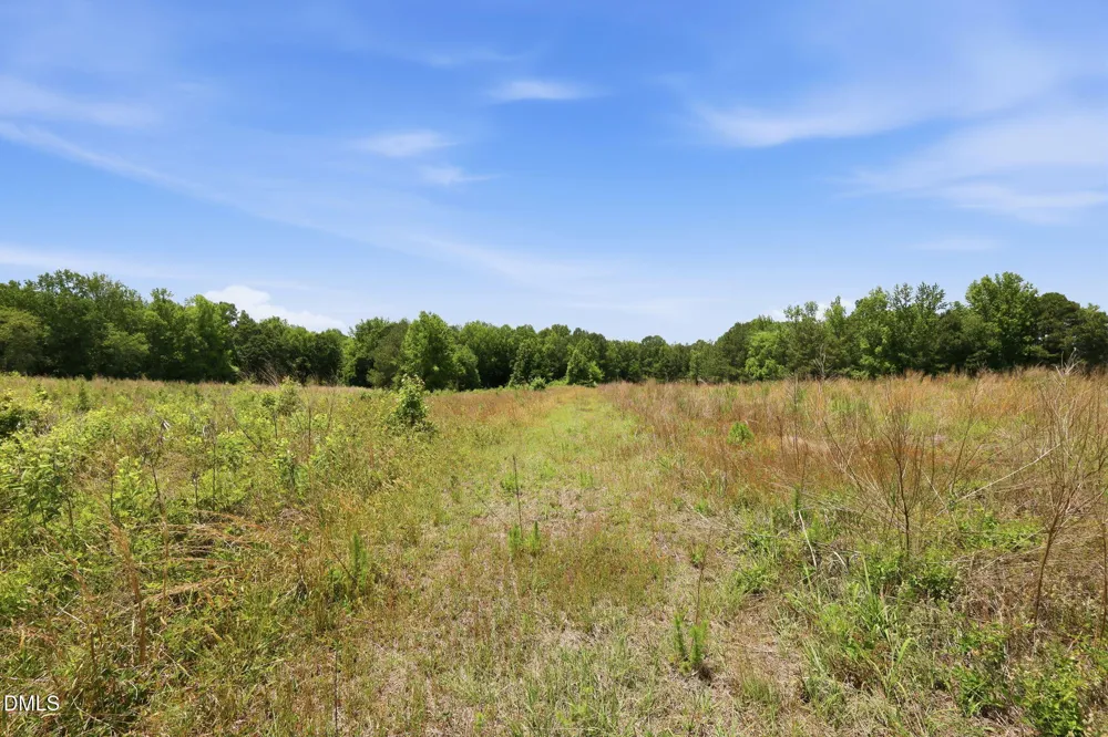 0 Pope Road Creedmoor, NC 27522