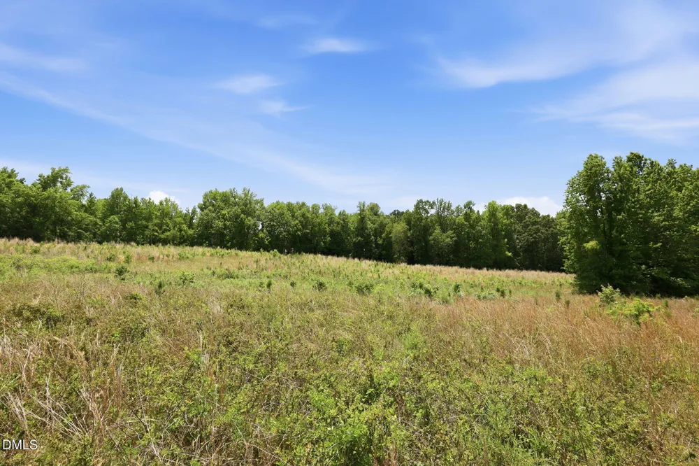 0 Pope Road Creedmoor, NC 27522