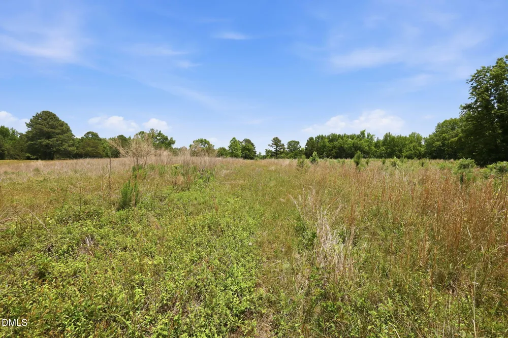 0 Pope Road Creedmoor, NC 27522
