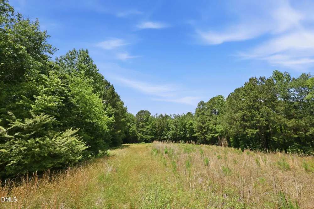 0 Pope Road Creedmoor, NC 27522