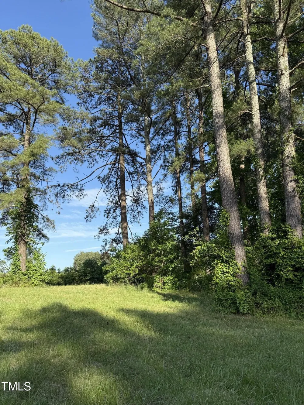 71 Mount Olivet Church Road Franklinton, NC 27525