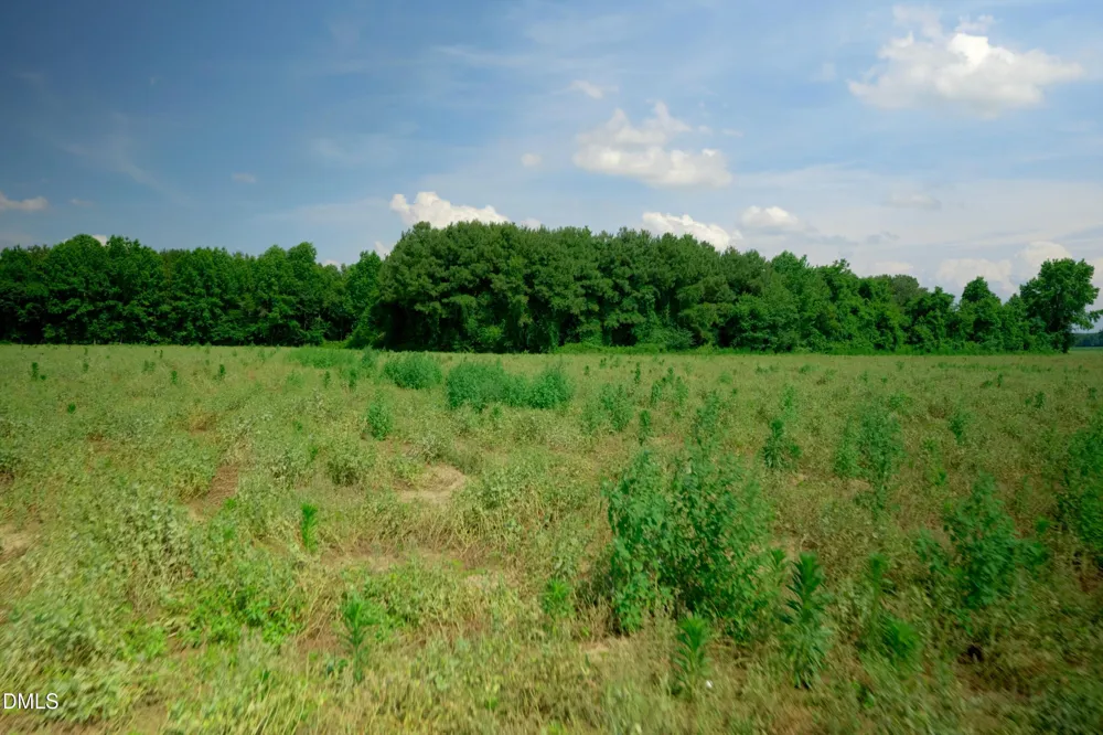 2 Bowden Road Turkey, NC 28393