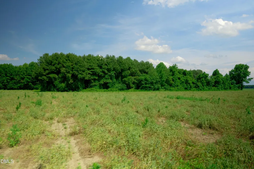 2 Bowden Road Turkey, NC 28393