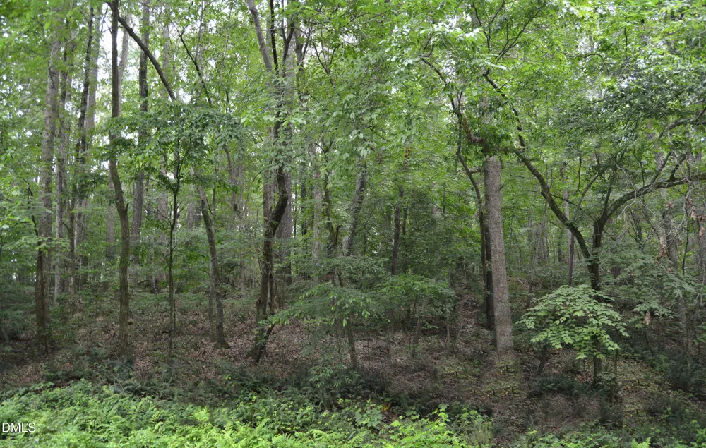 00 Tom Wright Road Franklinton, NC 27525