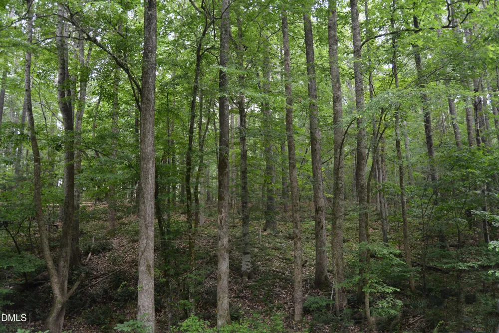 00 Tom Wright Road Franklinton, NC 27525