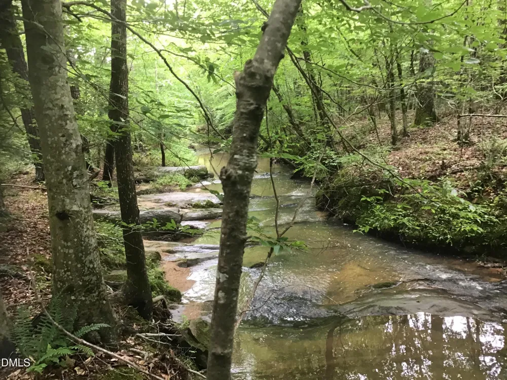 00 Tom Wright Road Franklinton, NC 27525