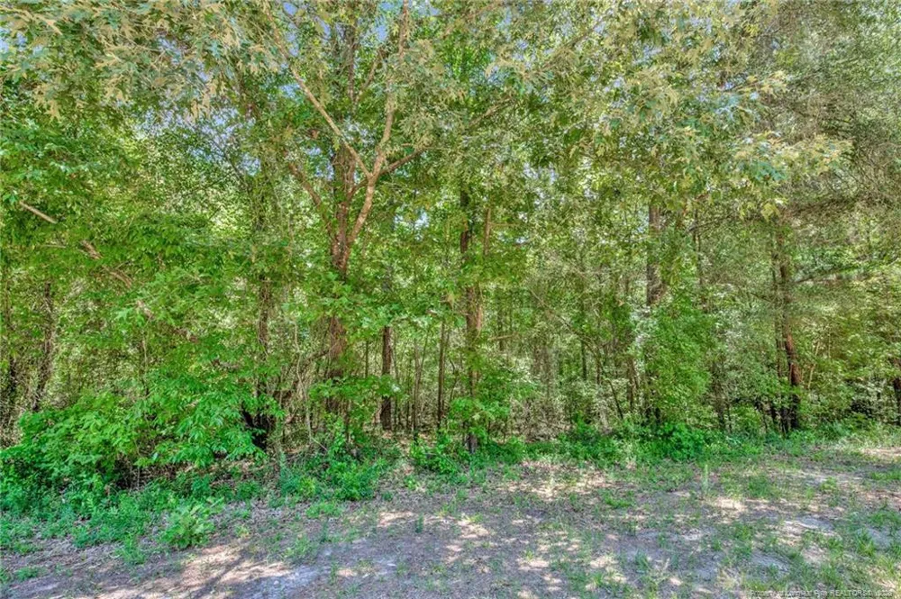 00 Riverstead (Lot 2) Road E Fayetteville, NC 28312