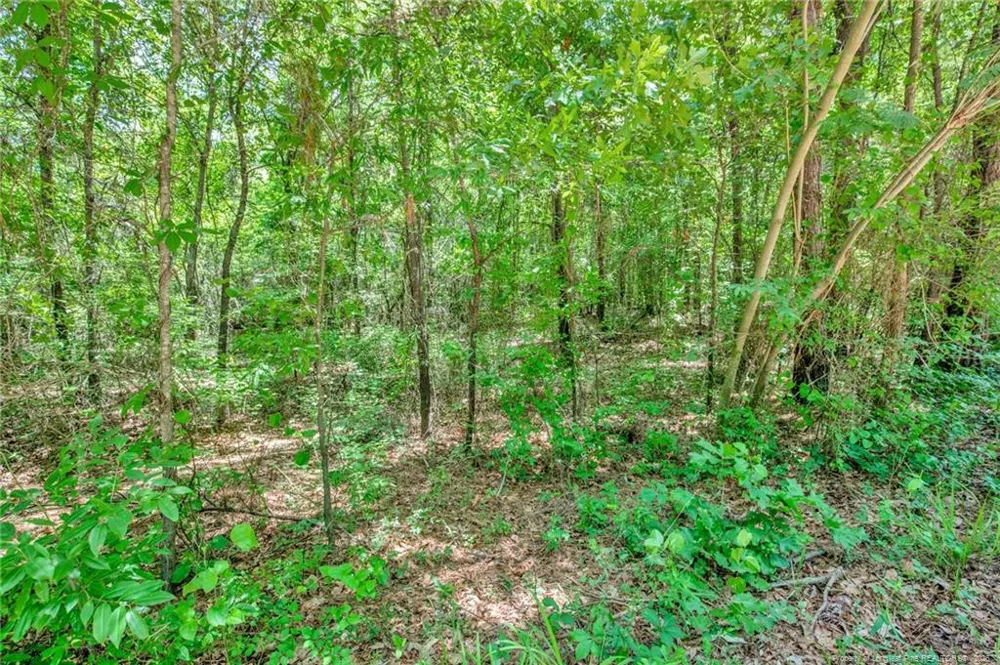 00 Riverstead (Lot 2) Road E Fayetteville, NC 28312