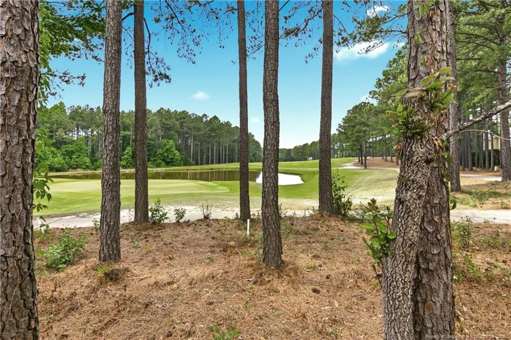 82 Pine Hawk Drive Spring Lake, NC 28390