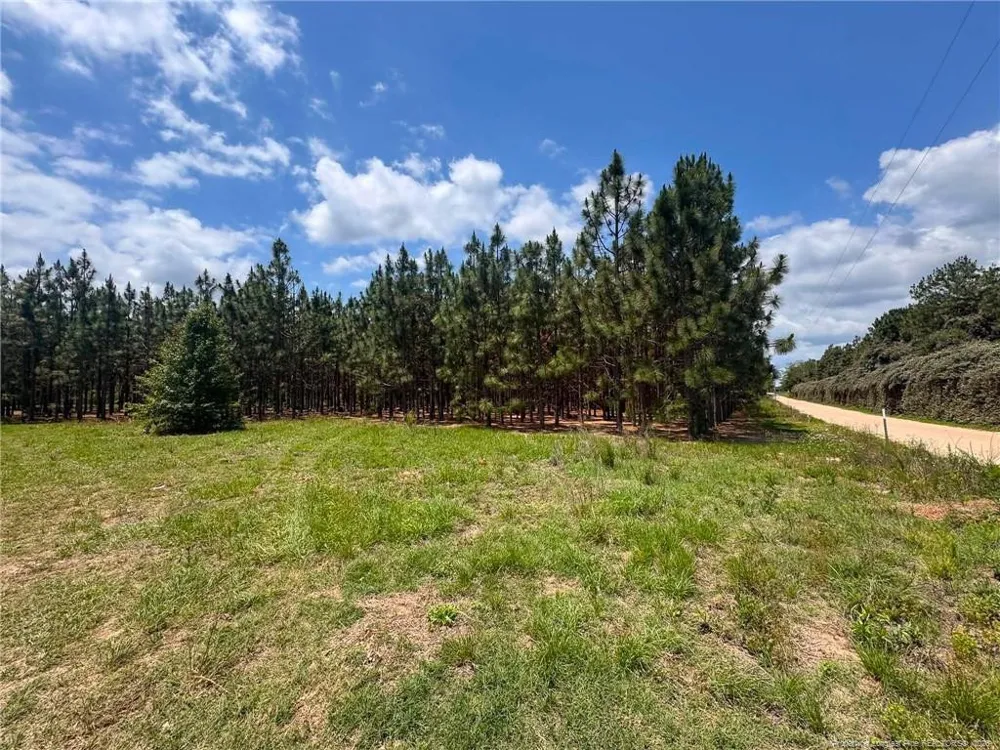 Gainey Road Raeford, NC 28376