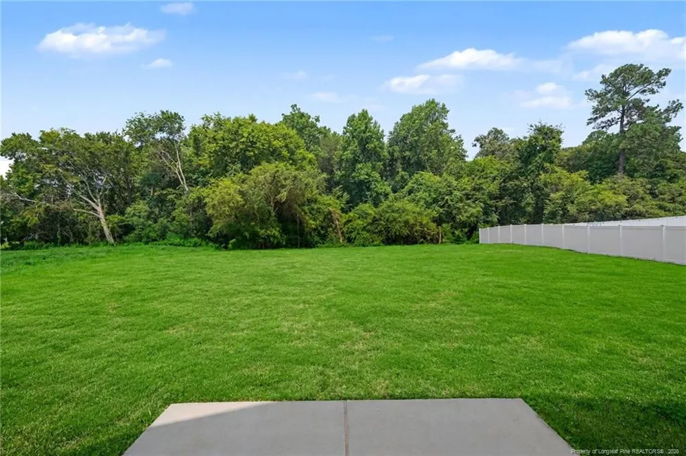 121 Boston River Drive Dunn, NC 28334