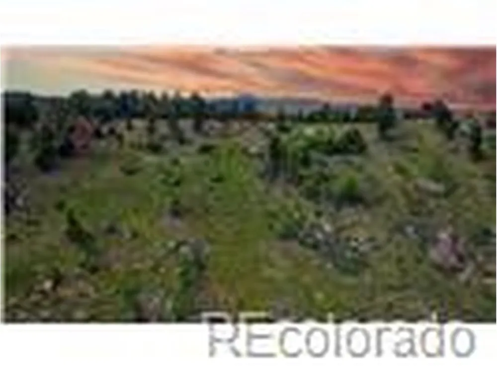 33888 Mineral Lane Pine, CO 80470