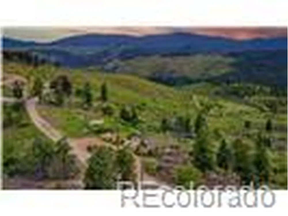 33888 Mineral Lane Pine, CO 80470