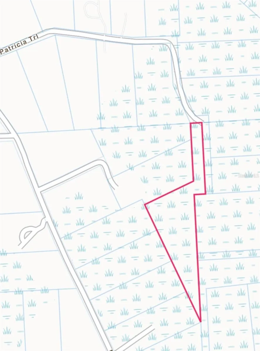 0 PATRICIA TRAIL Kissimmee, FL 34747