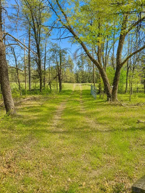 Temple Drive