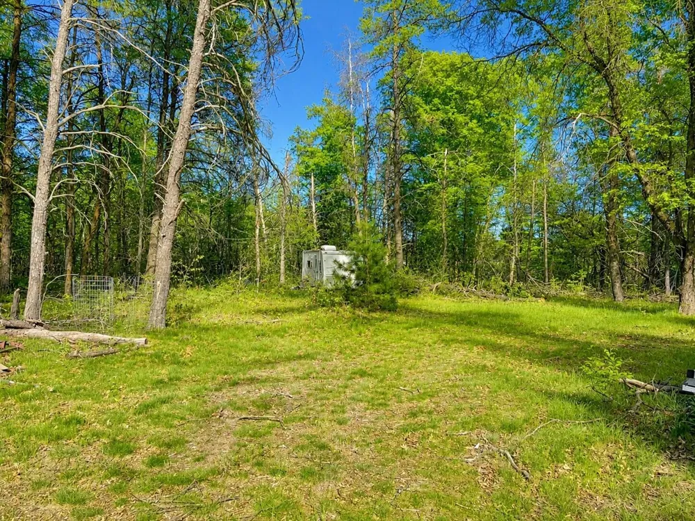 Temple Drive Marion, MI 49665