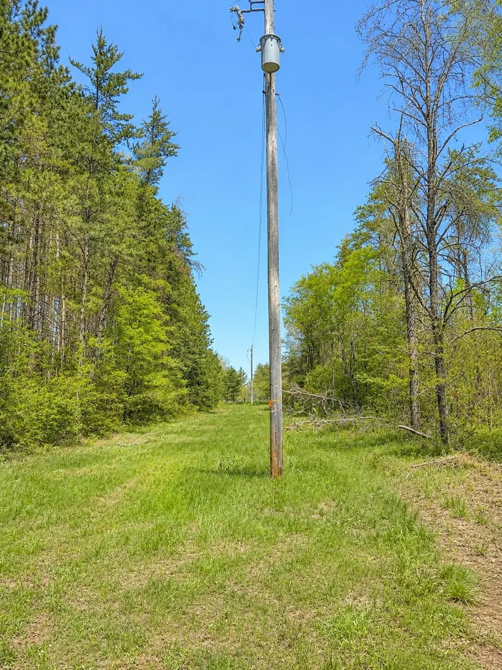 Temple Drive Marion, MI 49665