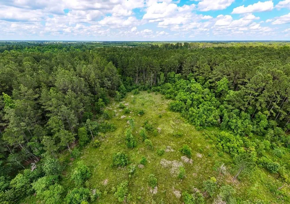 Private Road 5170 Kirbyville, TX 75956