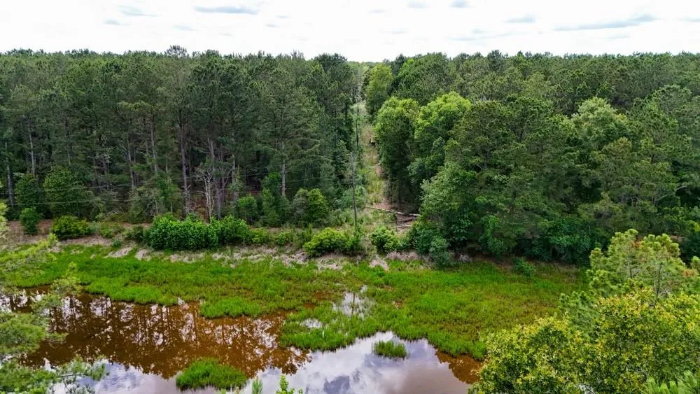 Private Road 5170 Kirbyville, TX 75956