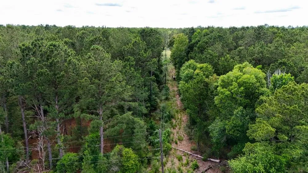 Private Road 5170 Kirbyville, TX 75956