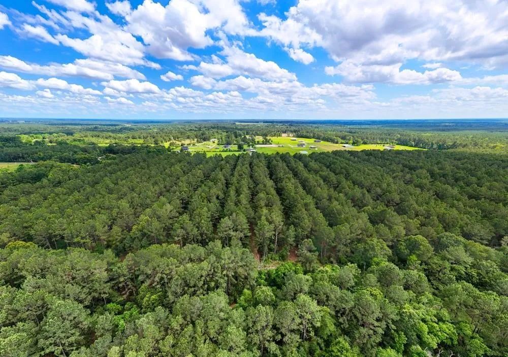 Private Road 5170 Kirbyville, TX 75956