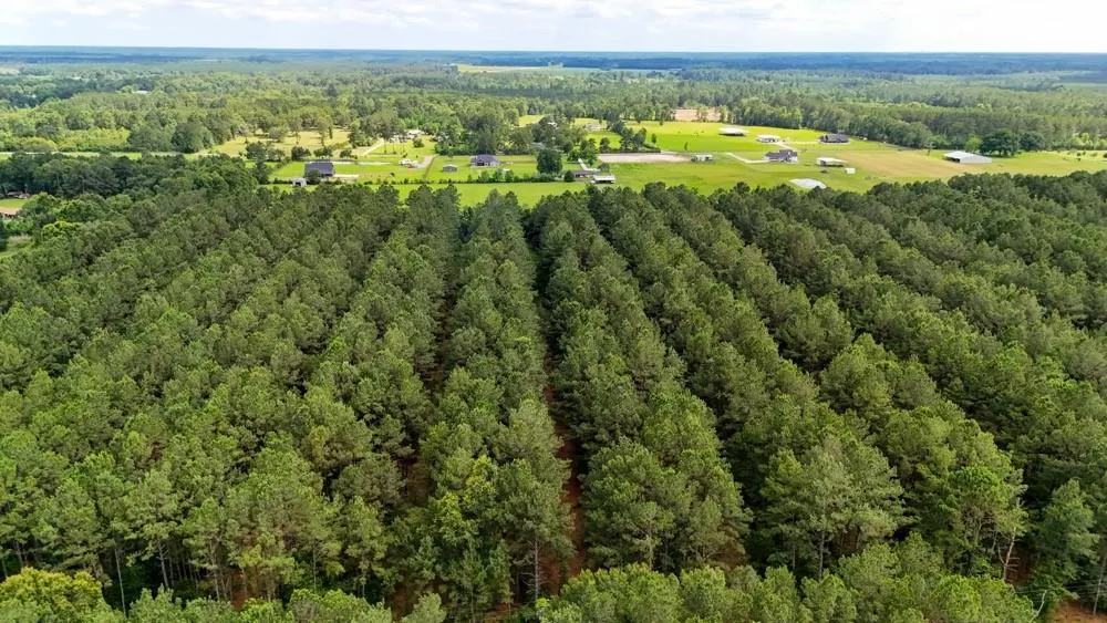 Private Road 5170 Kirbyville, TX 75956