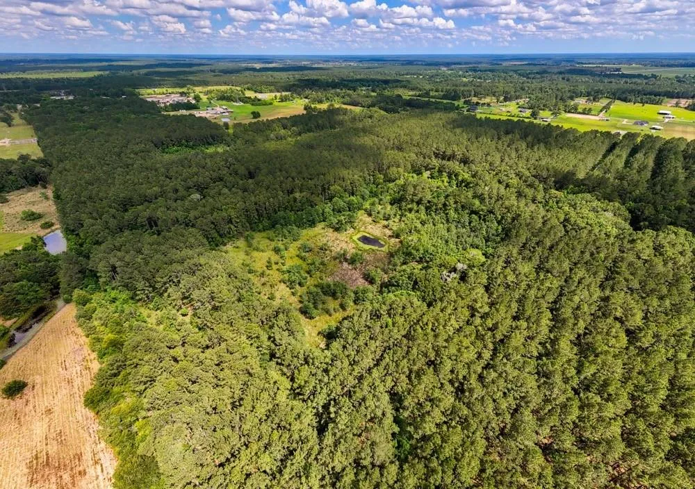 Private Road 5170 Kirbyville, TX 75956