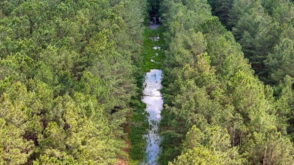 Private Road 5170 Kirbyville, TX 75956