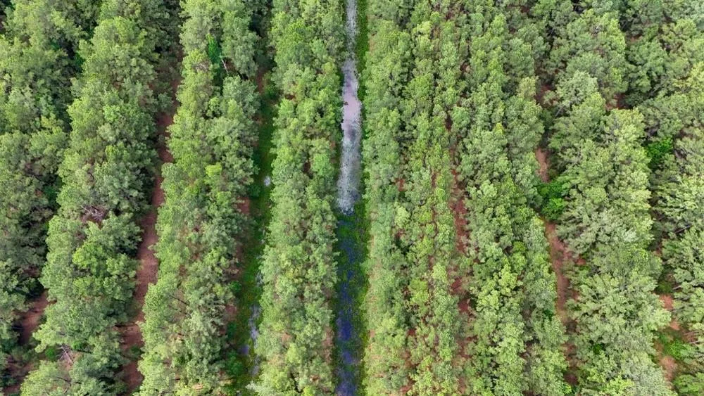 Private Road 5170 Kirbyville, TX 75956