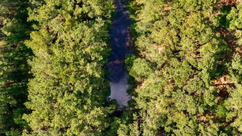 Private Road 5170 Kirbyville, TX 75956