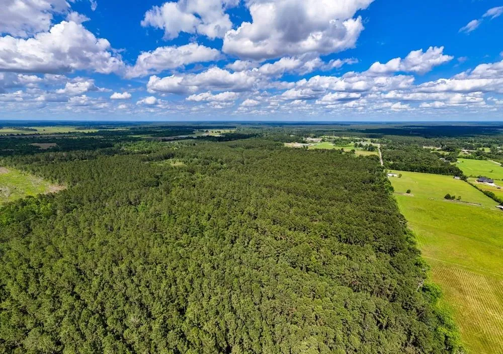 Private Road 5170 Kirbyville, TX 75956