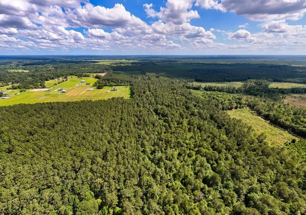 Private Road 5170 Kirbyville, TX 75956