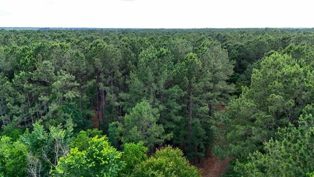 Private Road 5170 Kirbyville, TX 75956