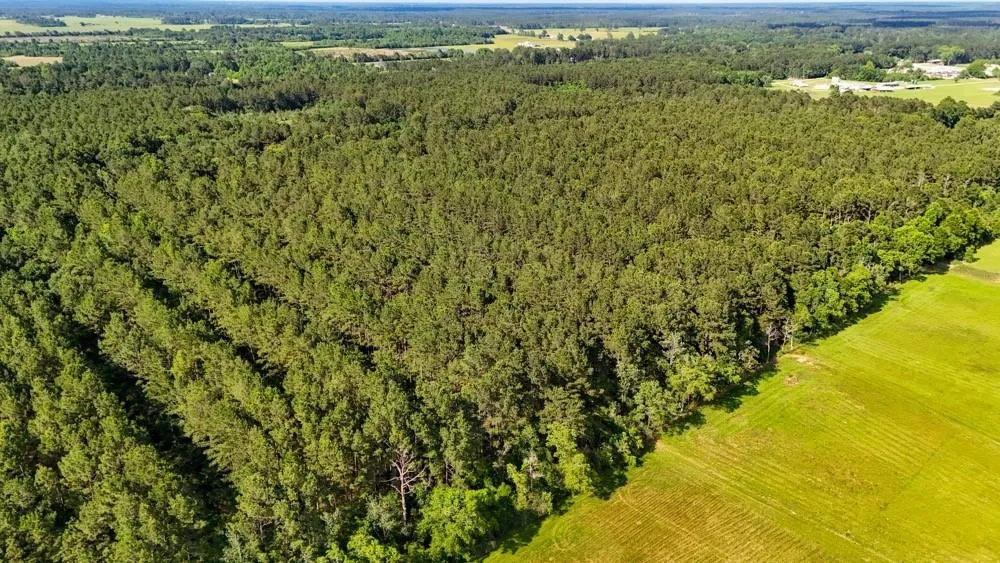 Private Road 5170 Kirbyville, TX 75956