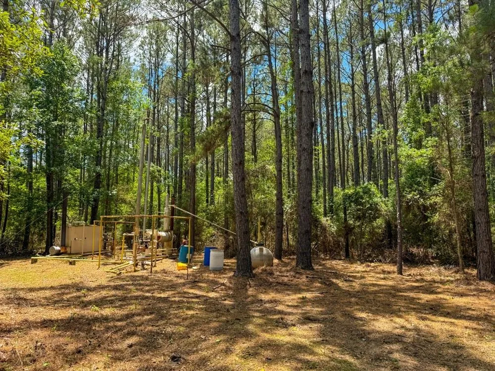 Private Road 5170 Kirbyville, TX 75956