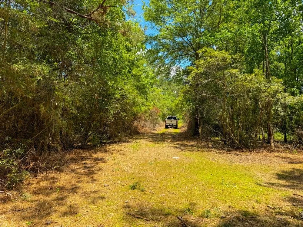 Private Road 5170 Kirbyville, TX 75956