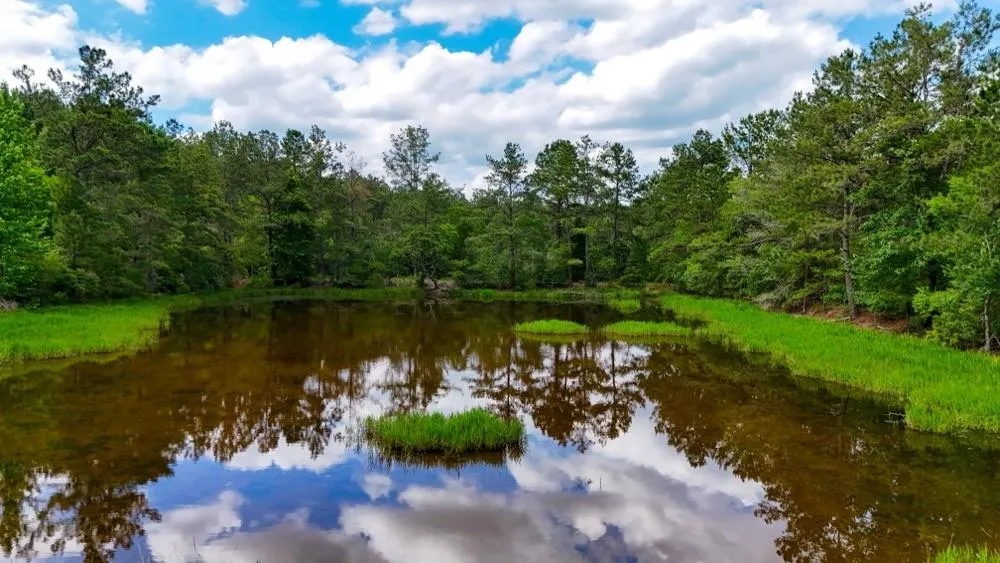 Private Road 5170 Kirbyville, TX 75956