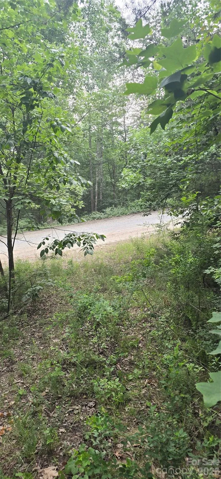 0 Pinnacle Parkway #6 Union Mills, NC 28167