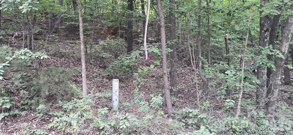 0 Pinnacle Parkway #6 Union Mills, NC 28167