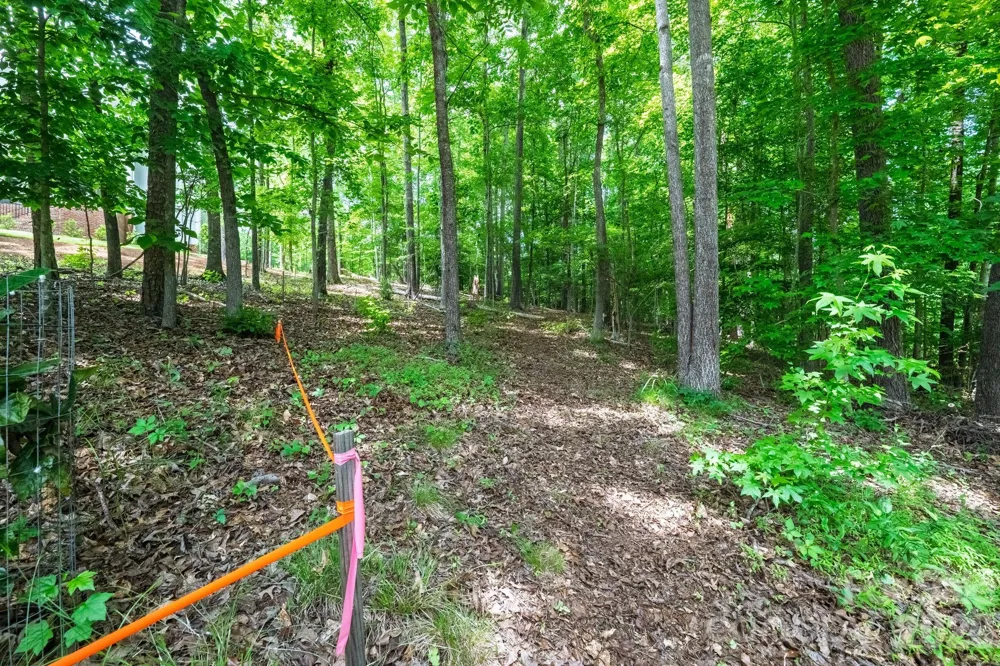 229 Ballard Court Fort Mill, SC 29715