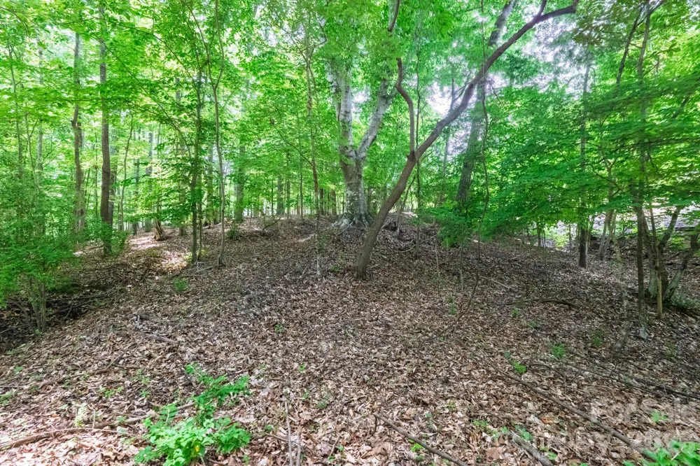 229 Ballard Court Fort Mill, SC 29715