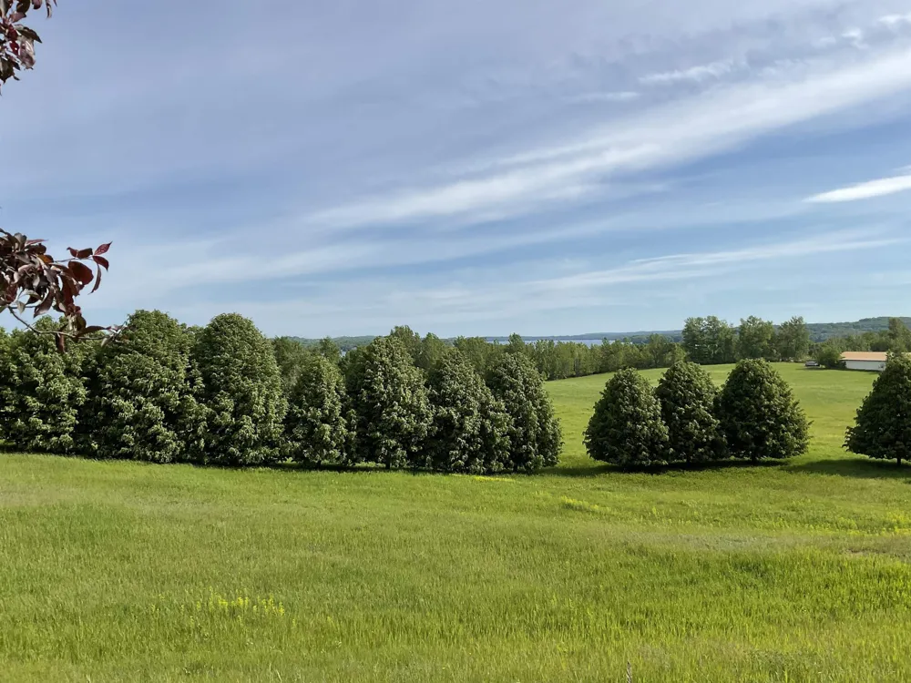 4867 E Water View Drive Leland Township, MI 49653