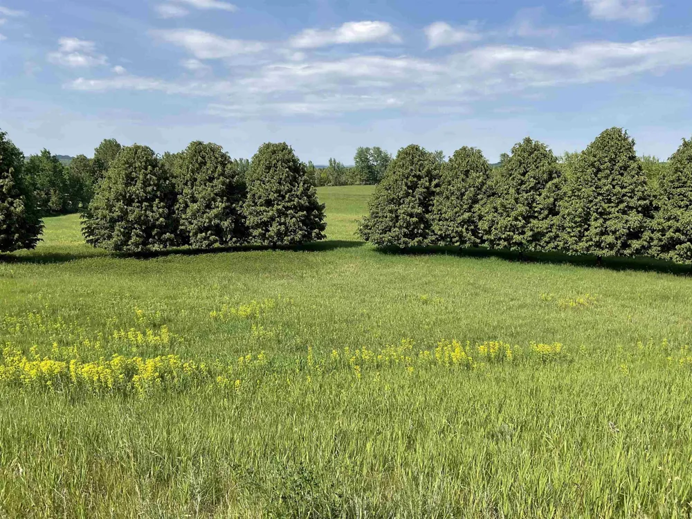 4867 E Water View Drive Leland Township, MI 49653