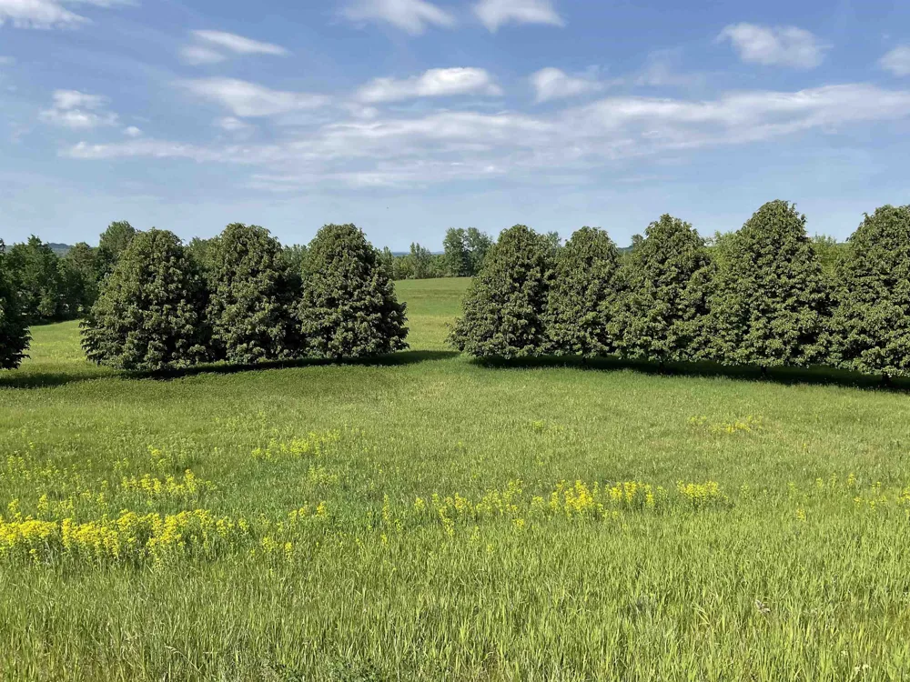 4867 E Water View Drive Leland Township, MI 49653