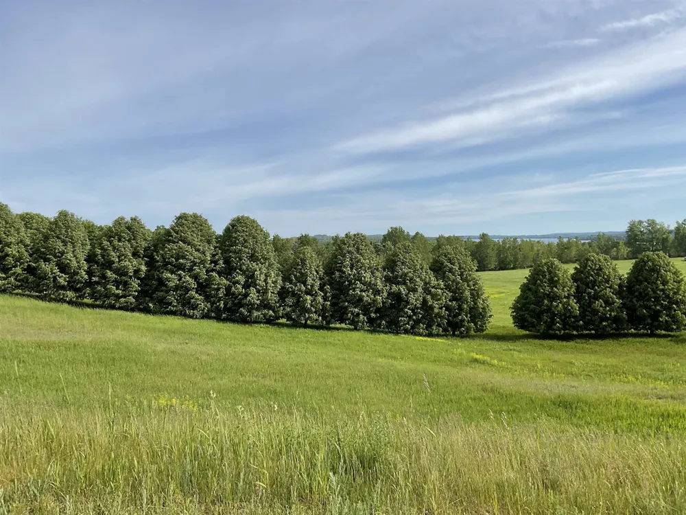4867 E Water View Drive Leland Township, MI 49653