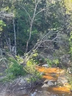 1018 Creek Crossing Road Glen Rose, TX 76070