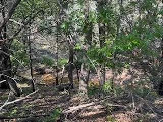1018 Creek Crossing Road Glen Rose, TX 76070